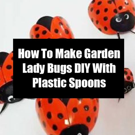 How To Make Garden Lady Bugs DIY With Plastic Spoons Plastic Spoon Art, Easiest Vegetables To Grow, Spoons Diy, Plastic Spoon Crafts, Spoon Craft, Painted Spoons, Vegetables To Grow, Easy Vegetables To Grow, Spoon Crafts