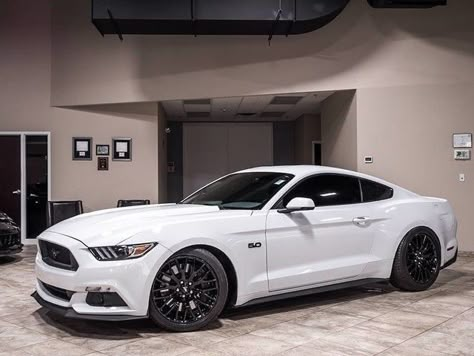 Black Mustang Gt, Yellow Camaro, Ford Mustang Gt 2015, 2015 Mustang Gt, Sports Cars Mustang, Mustang Gt Premium, Ford Mustang 2015, Black Mustang, Mustang 2015