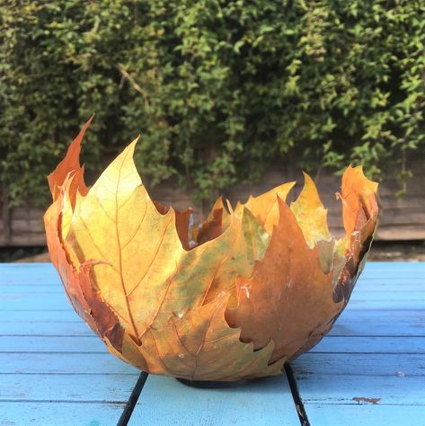 Make an autumn leaf bowl Leaf Bowl Diy, Fall Leaf Bowl Diy, Diy Leaf Bowl Autumn Leaves, Diy Clay Leaf Bowl, Leaf Clay Bowl, Sycamore Leaf, Autumn Leaves Craft, Pressed Leaves, Decorative Gourds