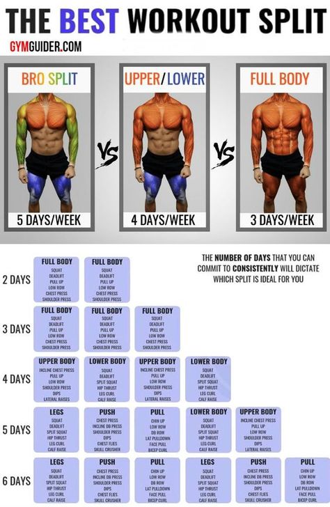 5 Days Workout Plan Men, Bro Split Workout Plan, 5 Day Split Workout Routine For Men, 4 Day Workout Plan For Men, 4 Day Split Workout Men, 5 Day Workout Plan Men, Newbie Gains, Bro Split, Best Workout Split