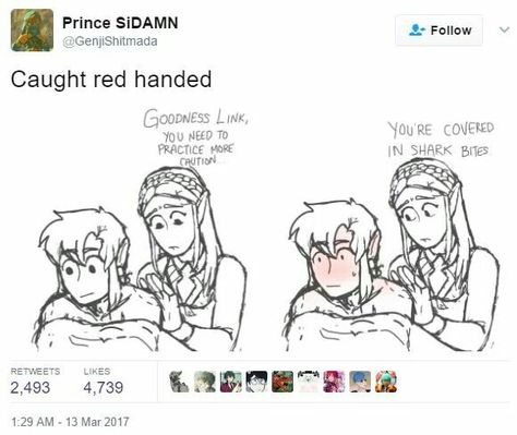 Link and Prince Sidonis Sidon Zelda, Prince Sidon, Legend Of Zelda Memes, Botw Zelda, Zelda Funny, Link Zelda, Zelda Art, Legend Of Zelda Breath, Zelda Breath