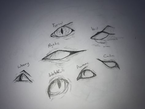 Dragon Eyes Reference, Dragon Eye Reference, How To Draw Dragon Eyes, Dragon Eye Tutorial, Dragon Eyes Drawing, Dragon Sketches, Dragon Eye Drawing, Dragon Ideas, Types Of Dragons