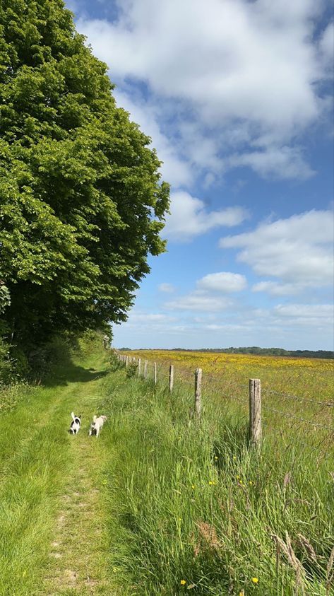 #dogs #field #farm #jackrussel #english #countryside Cottage In The Countryside, English Countryside Farm, Life In Countryside, English Countryside House Aesthetic, English Farm Aesthetic, English Countryside Spring, Country Farm Life Aesthetic, English Countryside Life, Living In The Countryside