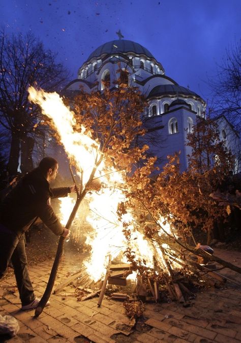 "Bless also now this tree which is a symbol of Thy cross and the Tree of Life in paradise, and which reminds us of Thy holy birth and of the logs which the shepherds of Bethlehem kindled to warm themselves when they came to worship Thee, the divine infant, and thereby prefigured Thy salvation-bearing cross."   (Serbian Orthodox Blessing of the Yule Log (BadnJak)) [Traditions]