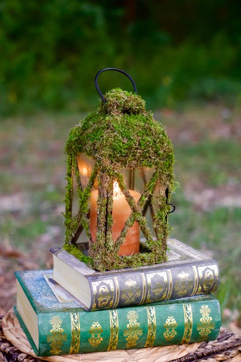 Enchanted Forest Wedding Lanterns, Fairy Garden Photography, Fairy House Party Ideas, Enchanted Forest Lanterns, Fairy Photoshoot Props, Fairy Diy Decor, Woodsy Wedding Dress Fairytale, Fairy House Centerpiece, Fairy Themed Wedding Decoration