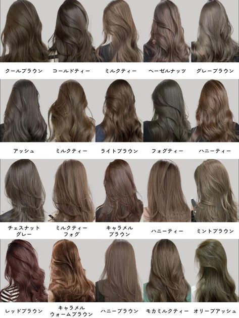 Ash Hair Color Chart, Hair Color For Natural Skin Tone, Ash Blonde Hair Asian, Brown Dyed Hair, Ash Brown Hair With Highlights, Hair Color Names, Brown Hair Color Chart, Korean Hair Color, Bold Hair Color