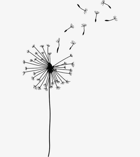 Line Drawing Dandelion, Cartoon Dandelion Flower, Dandelion Doodle Simple, Drawing Of Dandelion Flower, Dandelions Doodles, Dandelion Puff Drawing, Dandelion Tattoo Drawing, Dandelion Line Art Tattoo, Drawing Of A Dandelion