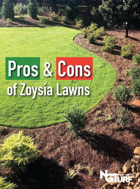 Sod Landscaping Ideas, Sod Before And After, Zoysia Grass Lawn, Types Of Grass For Lawn, Zoysia Grass Care, Zoysia Lawn, Zoysia Sod, Sod Grass, Best Grass Seed