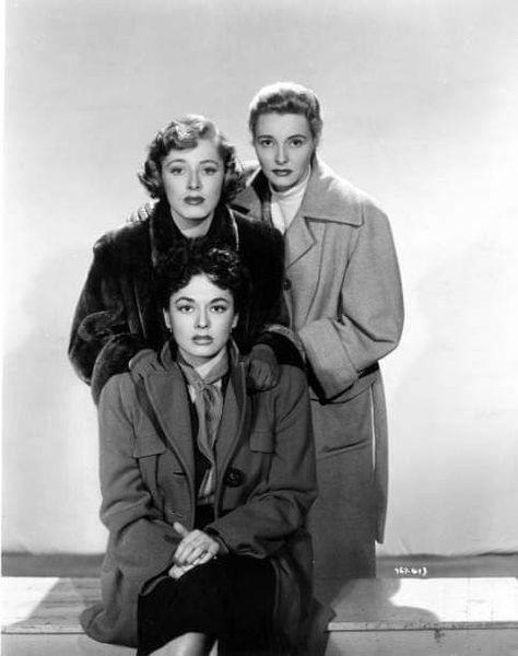 Ruth Roman, Eleanor Parker And Patricia Neal For "Three Secrets" (1950) Ruth Roman, Eleanor Parker, Patricia Neal, Old Hollywood Style, January 20, August 8, Classic Movies, Classic Hollywood, Old Hollywood