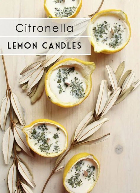 Insect Repellent Candles, Diy Citronella, Bowl Candles, Hantverk Diy, Lemon Bowl, Soya Mumu, Lemon Candle, Candle Making Business, Food Candles