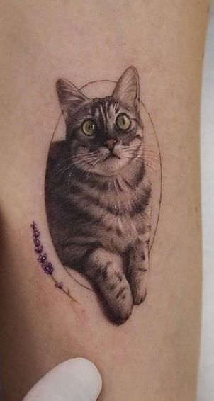 Ginger Cat Tattoo, Calico Cat Tattoo, Orange Cat Tattoo, Tabby Cat Tattoo, Animal Memorial Tattoo Cats, Cat Tattoo Portrait, Minimalist Cat Portrait Tattoo, Small Cat Portrait Tattoo, Orange Cat Portrait Tattoo