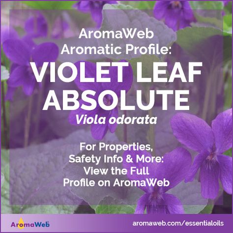 Violet Leaf Benefits, Violet Essential Oil, Herbal Business, Raise Vibration, What To Watch, Sweet Violets, Big Pharma, Herbal Medicine, Essential Oil