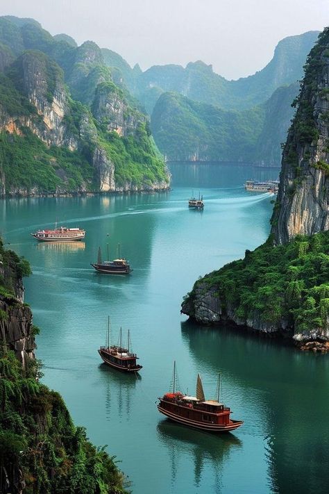 Vietnam Travel Tips and Planning | 🚤 Mystical Seascape: Ha Long Bay, Vietnam's Limestone Marvel 🇻🇳 | Facebook Halong Bay Vietnam, Travel Vietnam, Vietnam Travel Guide, Relaxing Travel, Vietnam Tours, Ha Long Bay, Overseas Travel, Ha Long, Halong Bay