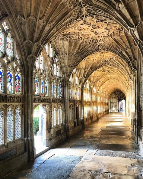 Daniel Slowik on Instagram: “A quick stop off at Gloucester Cathedral with @a.prin.art en route to Shropshire. The beautiful cloister in with late summer sun streaming…” 5d Earth, Hogwarts Visuals, Earth Vibes, Chester Cathedral, Gloucester Cathedral, Antique Architecture, Random Places, Gothic Windows, Backpacking Europe