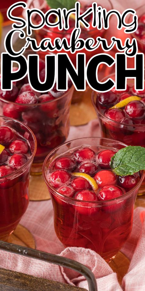 Sparkling Cranberry Punch, Jamaican Sorrel Drink Recipe, Cranberry Sprite, Sorrel Drink Recipe, Wine Punch Recipes, Cranberry Vodka Punch, Party Punch Recipe, Sparkling Punch, Easy Party Punch