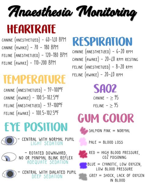 Vitals for Canine & Feline while under anesthesia Surgical Terms, Vet Nursing, Veterinary Nursing, Veterinarian Technician, Vet Tech School, Dental Assistant Study, Veterinary Tech, Vet Tech Student, Vet Technician