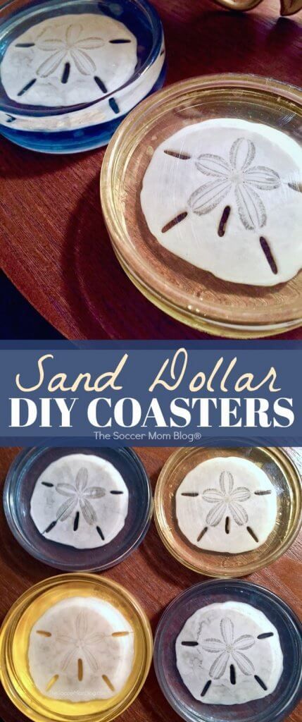 Sand Dollar Craft, Sand Dollar Art, Beach Crafts Diy, Sand Dollar Ornament, Beachy Stuff, Beach Themed Crafts, Seashell Projects, Shells And Sand, Pinterest Crafts