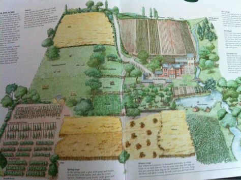 5  Acres Independance 5 Acre Homestead Layout Hobby Farms, 5 Acre Homestead Layout, 5 Acre Homestead, Acre Homestead Layout, Horse Farm Layout, Garden Planing, Homestead Layout, Acre Homestead, Farm Plans