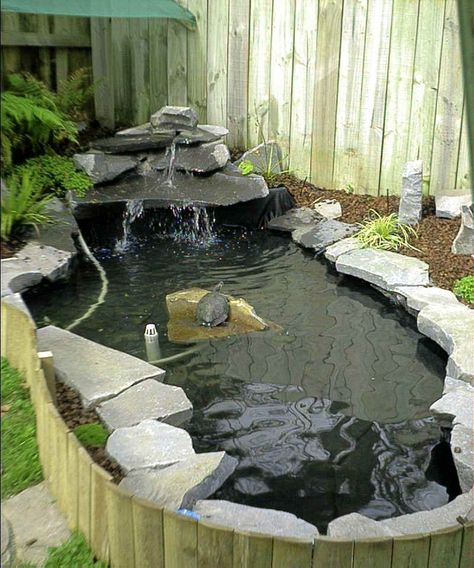 turtle pond. Tartaruga Habitat, Cottage Patio, Koi Pond Design, Turtle Aquarium, Turtle Homes, Taman Air, Pond Garden, Turtle Habitat, Garden Pond Design