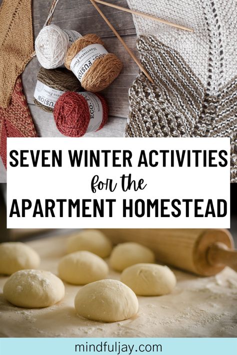 Winter Homestead Aesthetic, Winter Projects For Adults, Winter Homesteading, Apartment Homestead, Homestead Apartment, Apartment Homesteading, Winter Homestead, Homestead Plans, Survival Homestead