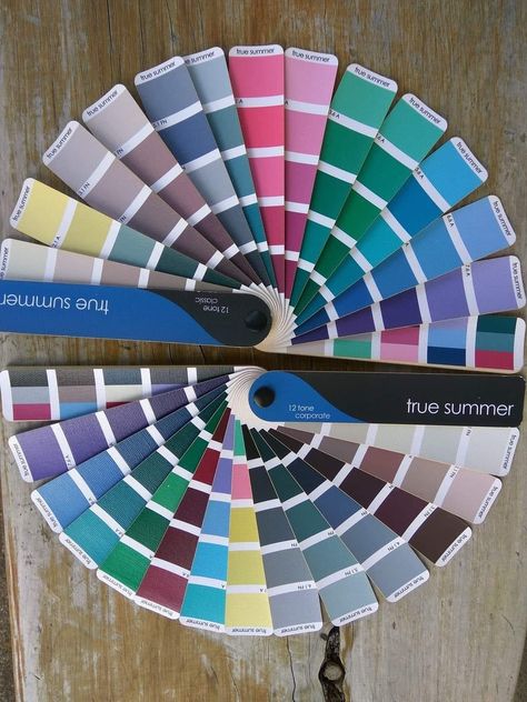 Jewel Tone Summer, True Summer, Summer Color Palette, Summer Color, Color Analysis, Jewel Tones, Summer Colors, Sweet Pea, Thing 1 Thing 2