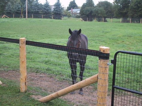 diamond mesh horse fence Inexpensive Horse Fencing, Horse Pasture Ideas, Horse Pasture, Pasture Fencing, Horse Fence, Fencing Options, Fence Options, Fence Planters, Fence Plants