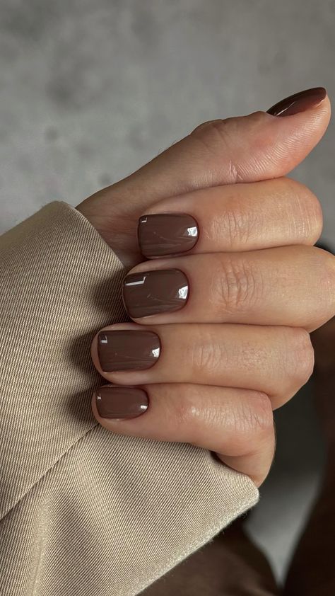 Studio by Elvira Safina | Autumn brownies yes or no?😊 | Instagram Pretty Nail Polish Colors, Brown Nail, Nail Polish Colors Fall, Simple Fall Nails, 2024 Nails, Pretty Nail Polish, Short Nail, Short Nail Designs, Yes Or No