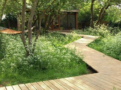 Park designed by Ken Smith Modern Landscape Design, Modern Garden Design, Contemporary Garden, Have Inspiration, Woodland Garden, Natural Garden, Modern Landscaping, Garden Cottage, Back Garden