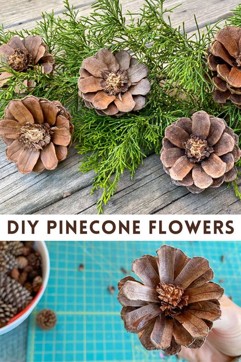 Pine Cone Crafts Diy Fall, Pinecone Baskets How To Make, Pinecone Mobile Diy, Christmas Nature Crafts Easy Diy, Natural Wood Crafts Ideas, Pinecone Owls Diy, Flowers From Pinecones, Pinecone Floral Arrangement, Pinecone Holiday Crafts