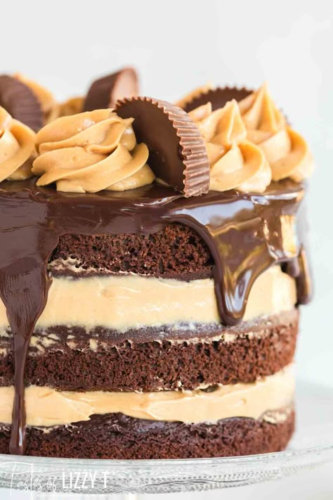 Chocolate Peanut Butter Cup Cake Cake Chocolate Peanut Butter, Making Frosting, Holiday Pie Recipes, Cake In A Cup, Holiday Pie, Chandelier Cake, Chocolate Peanut Butter Cake, Cake Liner, Gooey Butter Cake