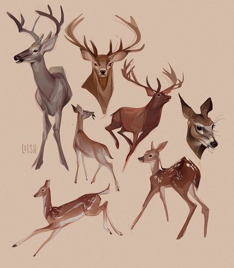 Expedition Art on Instagram: “A male deer is called a buck but some larger males are referred to as stags. A Female deer is called a doe or hind. A young deer is called…” Fawn Character Design, Deer Sketch, Drawing Refrences, Deer Drawing, Deer Illustration, Deer Art, Animal Sketches, Creature Design, الرسومات اللطيفة