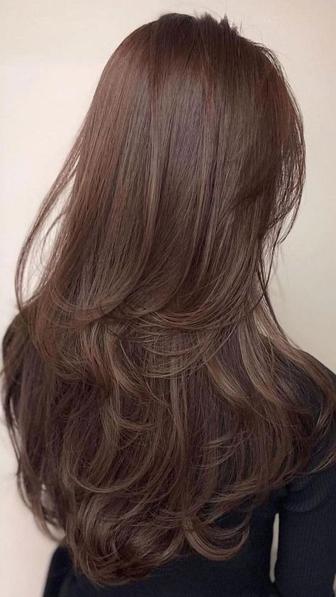 Brown Hair Colors And Styles, Pretty Hair Layers, Brown Hair Colors Layers, Brown Hair Colors Palette, Brown Layer Hair, Warmer Brown Hair, Layers In Brown Hair, Layers On Thinner Long Hair, Layered Hair With Color