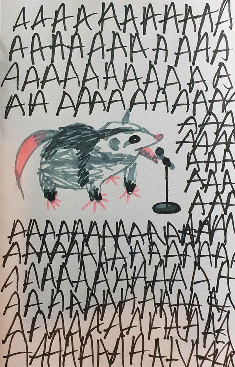 Opposum Drawings, Opossum Wallpaper, Possum Art, Folk Punk, Awesome Possum, Funny Rats, Trash Art, Swag Art, My People