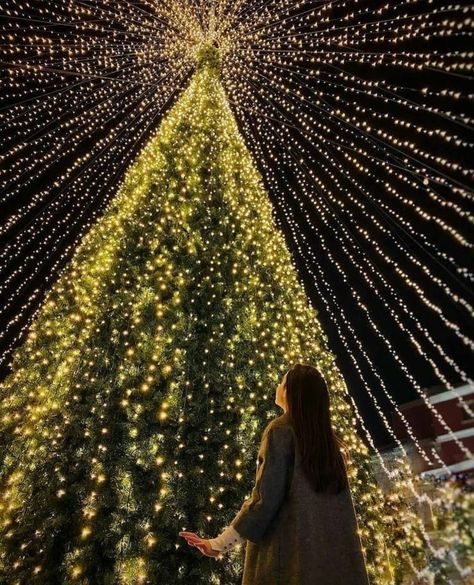 https://www.instagram.com/p/CIgom6qnz8h/?igshid=YmMyMTA2M2Y= Christmas Lights Poses Photo Ideas, Christmas Light Picture Ideas, Christmas Outdoor Photos, Outdoor Christmas Lights Photoshoot, Christmas Tree Picture Ideas, Christmas Decor Photoshoot, Christmas Tree Poses Instagram, Christmas Pics Aesthetic, Aesthetic Christmas Pics