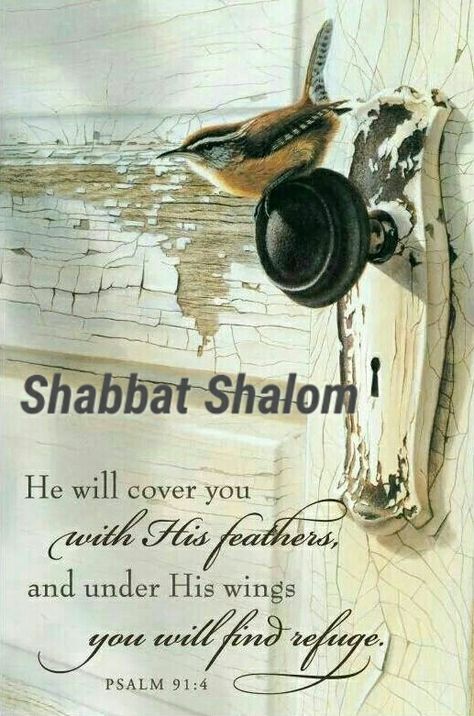 Shabbat Prayers, Torah Quotes, Jewish Shabbat, Happy Sabbath Quotes, Sabbath Quotes, Shabbat Shalom Images, Messianic Judaism, Sabbath Rest, Messianic Jewish