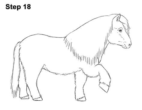 Shetland Pony Drawing 18 Mini Shetland Pony, Easy Horse Drawing, Maze Drawing, Ponies Drawing, Donkey Drawing, Horse Template, Drawing Horses, Horse Art Drawing, Horse Cartoon