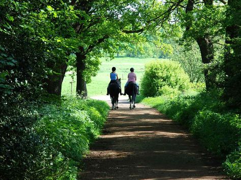 Peaceful Horse Stables Design, Horse Behavior, Riding Holiday, Healthy Horses, Famous Waterfalls, Horse Trail, Equestrian Facilities, Equestrian Lifestyle, Horse Stables