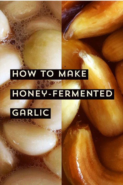 The picture is divided in half to show garlic cloves during and after fermentation in honey. The left image shows light cloves surrounded by bubbling honey, actively fermentation.The right half shows golden brown cloves after the active fermentation period. How To Make Garlic Honey, Fermenting Garlic In Honey, How To Ferment Garlic In Honey, Honey Garlic Ferment, Fermented Garlic Honey Benefits, Honey And Garlic Remedy, Garlic Honey Medicine, Fermenting Garlic, Honey Fermented Garlic