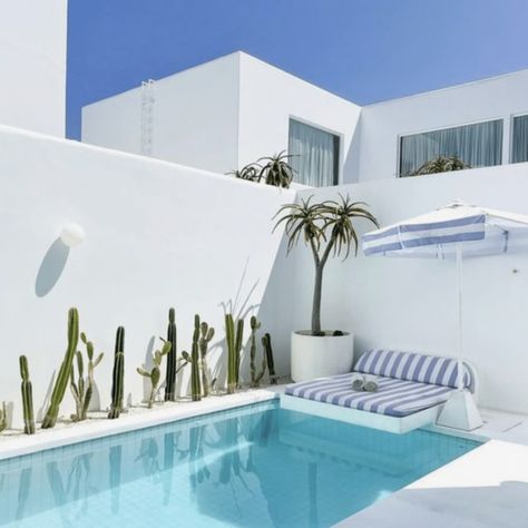 White Pool Tile Ideas - Designing A Modern Outdoor Space With A Contemporary Flair White Pool Plaster, White Pool Area, White Pool Tile, Greek Pool, White Swimming Pool, Pool Tile Ideas, Waterline Pool Tile, Pool Paving, White Pool