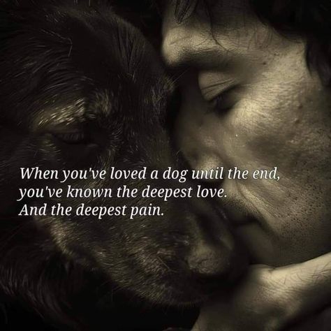 Dog Fostering Quotes, Pet Headstone Quotes, Soulmate Dog Quotes, Memorials For Dogs, Dog Euthanasia Quotes, Losing A Dog Quote, Losing A Dog Quotes Short, Lost Dog Quotes, Dog Passing Quotes