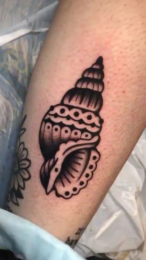 Seashell Flash Tattoo, Sea Shell Tattoo Traditional, American Traditional Sea Shell Tattoo, Simple Black Traditional Tattoo, Traditional Conch Shell Tattoo, Small Traditional Tattoo Black, Girly Traditional Tattoo Black, Old School Shell Tattoo, Traditional Clam Tattoo