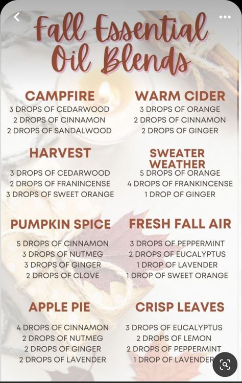 Fall Essential Oil Blends, Fall Smells, Candle Blends, Essential Oil Perfumes Recipes, Fall Essential Oils, Fall Diffuser Blends, Essential Oil Combinations, Simmer Pot, Essential Oil Diffuser Blends Recipes