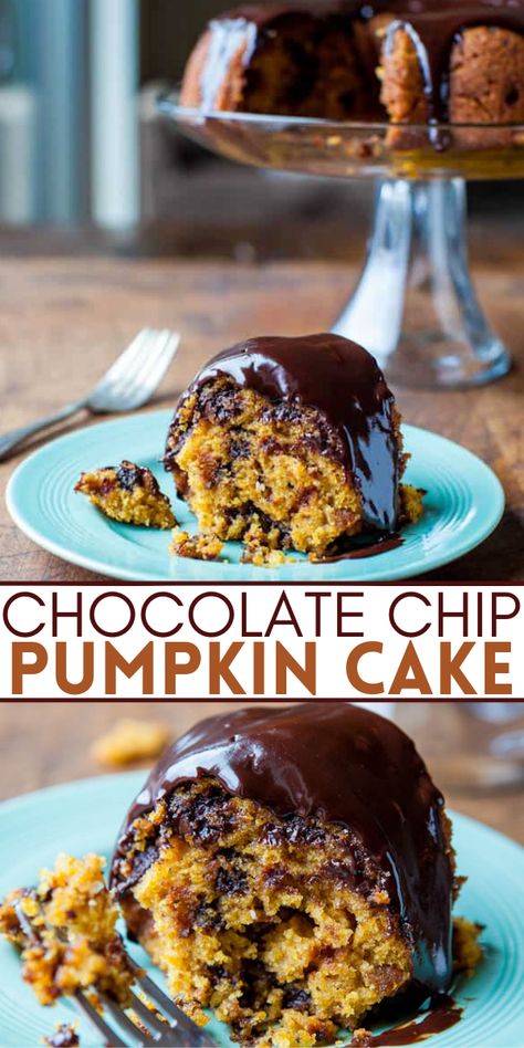 Chocolate Chip Pumpkin Bundt Cake — This easy pumpkin cake is predominately a pumpkin-flavored cake, with just hints at a yellow cake drizzled with chocolate ganache. It’s the best pumpkin cake I’ve ever had!! Pumpkin And Chocolate Cake Mix Recipes, Pumpkin Cake With Chocolate Chips, Pumpkin Chocolate Chip Bundt Cake, Pumpkin Chocolate Chip Bundt, Pumpkin Chocolate Chip Cake, Roasted Pumpkin Recipes, Pumpkin Bundt Cake Recipes, Chocolate Chip Bundt, Cake Ganache