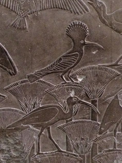 Frieze with lotus blossoms, ibis and hoopoe. Egyptian museum, Cairo Birds Architecture, Egypt Decor, Egypt Animals, Egyptian Museum, Egyptian Artifacts, Ancient Egypt Art, Ancient Animals, Egyptian Hieroglyphics, Art Ancien