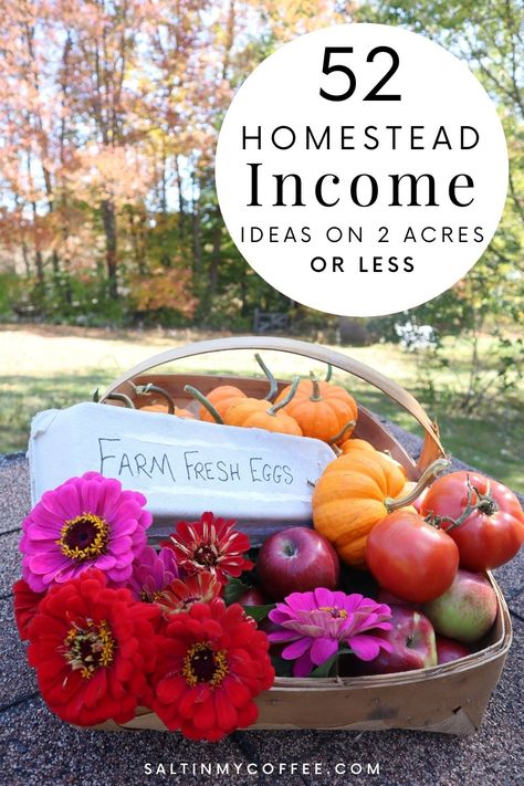 Looking for ways to make homesteading income from a small piece of land? This list is full of ideas and links to help fuel your passion to make a living from home! There are so many ways to make real income from even the tiniest piece of land. We've used our very small homestead property to make income in ways that let me stay home and make far more than I could working a job in our small town. Here are some of the ways we've made our property work for us, and many more! Homesteading In The Woods, Make Money Gardening, Homestead In Town, Homestead Items To Sell, Making Money From Homestead, Homestead Income Ideas, How To Make Money Homesteading, Homestead Money Making Ideas, Homestead Products To Sell