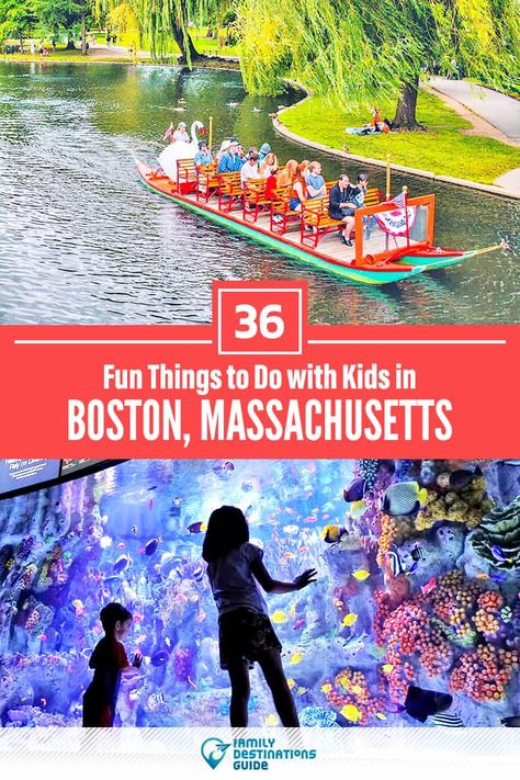 Boston Family Vacation, Fall Boston, Boston Massachusetts Photography, Usa Vacation Destinations, Massachusetts Fall, Boston With Kids, Boston Activities, Massachusetts Houses, Boston Travel Guide