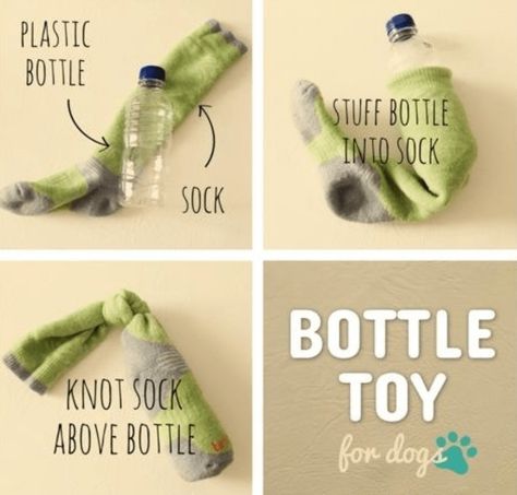 7 DIY Dog Toys You Can Make From Things in Your House Katt Diy, Homemade Dog Toys, Diy Dog Toys, Positive Dog Training, Dog Enrichment, Dog Games, Toy Puppies, Diy Dog, Pet Hacks