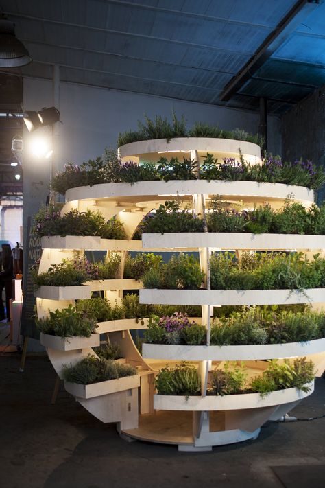 Inside IKEA’s Laboratory of Futuristic Foods - Gastro Obscura Futuristic Garden, Microgreens Growing, Microgreens Garden, Indoor Farming, Basil Plant, Vertical Farming, Garden Indoor, Futuristic Furniture, Hydroponic Gardening