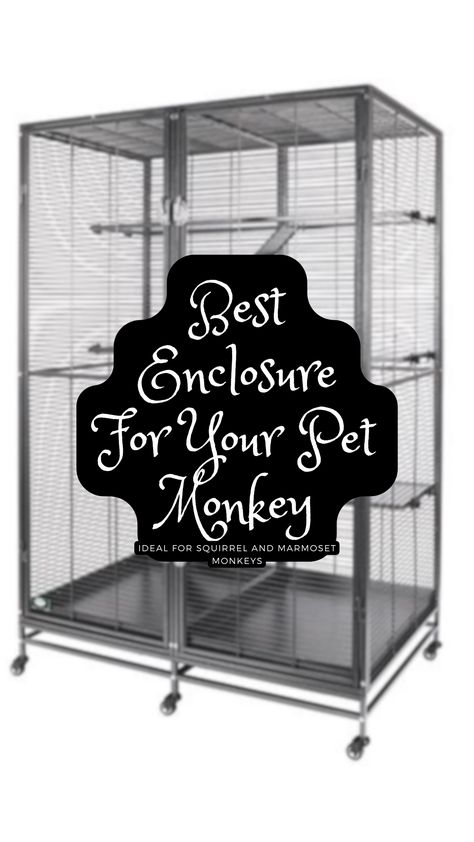 Looking to get a pet monkey but not sure what enclosure to purchase? This article talks about the one I use for MY 5 year old squirrel monkey. Squirrel Enclosure, Monkey Enclosure, Marmoset Monkey Cage, Pet Monkey Room Ideas, Diy Sea Monkey Tank, Spider Monkey Enrichment, Monkey Cage, Monkey Habitat, Finger Monkey