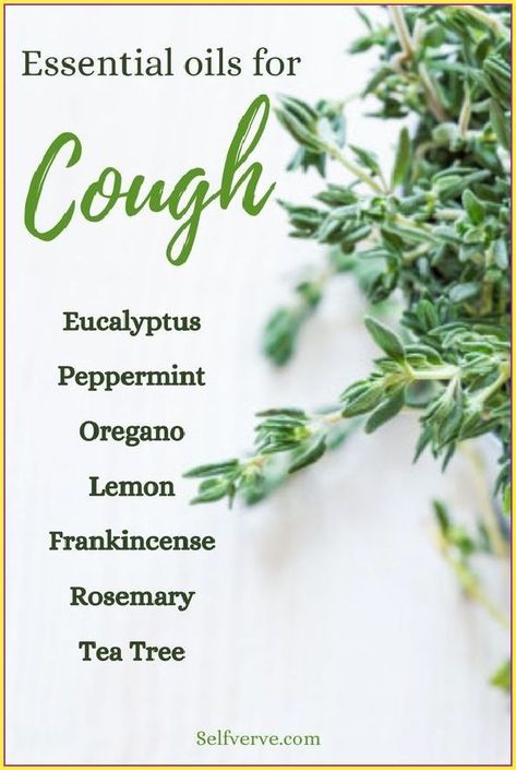 7 Natural Ways To Relieve Your Cough Oils For Cough, Oil For Cough, Essential Oils For Cough, How To Stop Coughing, Healthy Teeth And Gums, Rosemary Tea, Oregano Essential Oil, Diy Products, Receding Gums